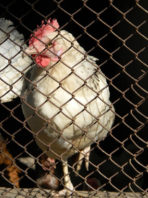 梅西冠军数比决赛数更多！还不算阿拉冠、欧国联级别的冠军！